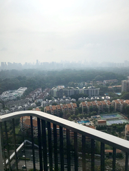 D'Leedon (D10), Condominium #158979072